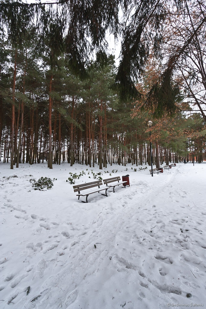 Utena, Lithuania, Lietuva, žiema, pakrantė, parkas, 2011